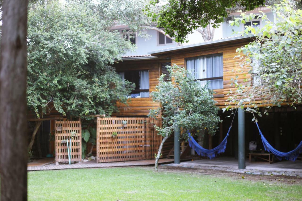 The Search House *